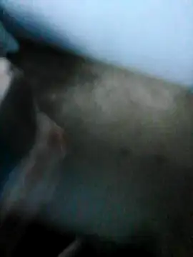 mydickbedarkandthick online show from 11/21/25, 03:11