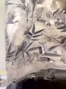 xiaoyuan01 online show from 10/10/25, 01:37