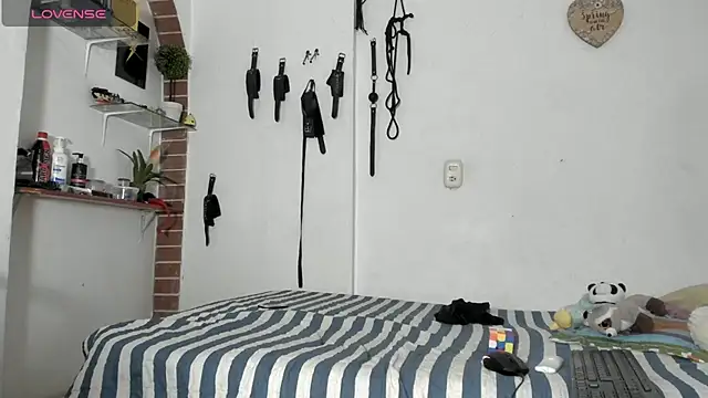 morbo total69 online show from 03/11/26, 10:16