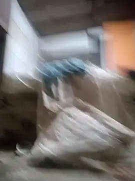 srtsara online show from 12/14/25, 12:16