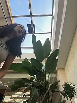 Ninazhang online show from 11/11/25, 01:38