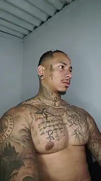 Snapshot of David_tatto1 chatting on 06/21/26, 03:53 David tatto1 online show from 06/21/26, 03:53