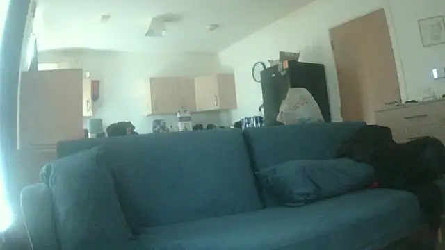 Snapshot of avamaxwell chatting on 05/21/26, 11:28 avamaxwell online show from 05/21/26, 11:28