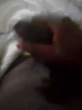 92donis online show from 09/30/25, 03:55