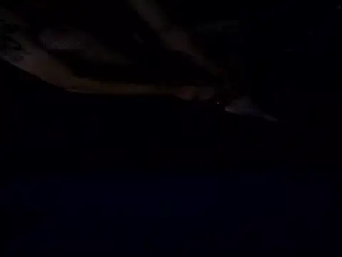 Crossedsissy online show from 12/15/25, 05:34