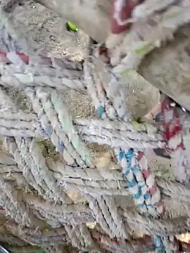 Naveen9100Unity online show from 04/12/26, 10:31