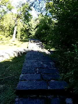 Snapshot of zack23088 chatting on 10/04/25, 12:41 zack23088 online show from 10/04/25, 12:41