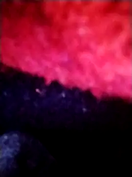 salimbasha online show from 09/28/25, 12:27