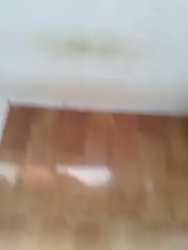 O Mascarado NK online show from 03/21/26, 12:43