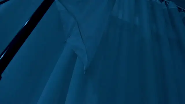 PatyLawrence online show from 01/17/26, 04:28