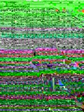 kamo012000 online show from 06/19/26, 10:08