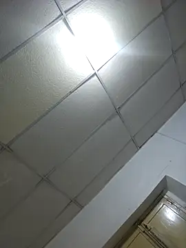 sexyboy fox online show from 04/28/26, 02:49