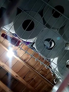 Single lagunero online show from 03/16/26, 06:34