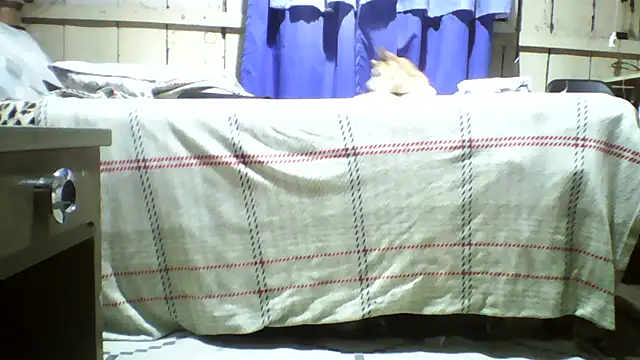 20cmloiro online show from 07/02/26, 12:32