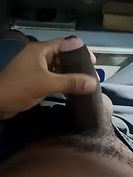 nego-insaciavel online show from 02/25/26, 12:04