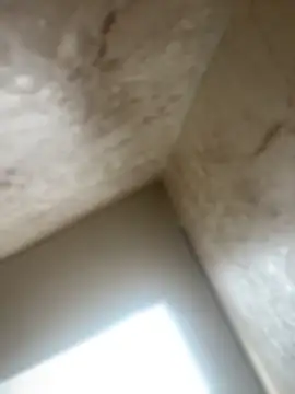 Snapshot of Noa_Todokoro chatting on 10/16/25, 03:02 Noa Todokoro online show from 10/16/25, 03:02