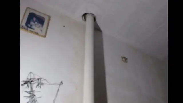 BebaFoxx online show from 03/03/26, 08:20