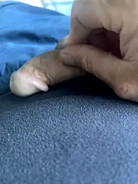 BobKat online show from 10/05/25, 07:50