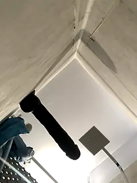 BobKat online show from 11/15/25, 08:55