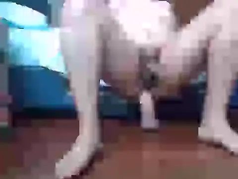 Culazodeantonellarocuzzo online show from 09/15/25, 03:34