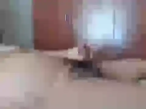 Culazodeantonellarocuzzo online show from 02/26/26, 03:44