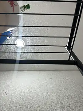 Nia Desire online show from 12/17/25, 05:24