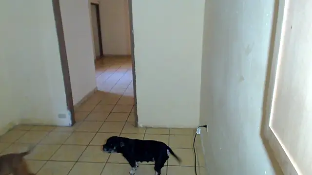 BlondZilla online show from 02/01/26, 04:16