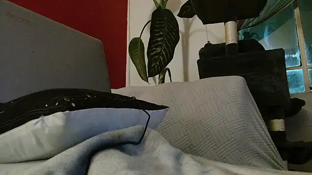 Snapshot of Tulindabonny chatting on 03/06/26, 05:04 Tulindabonny online show from 03/06/26, 05:04