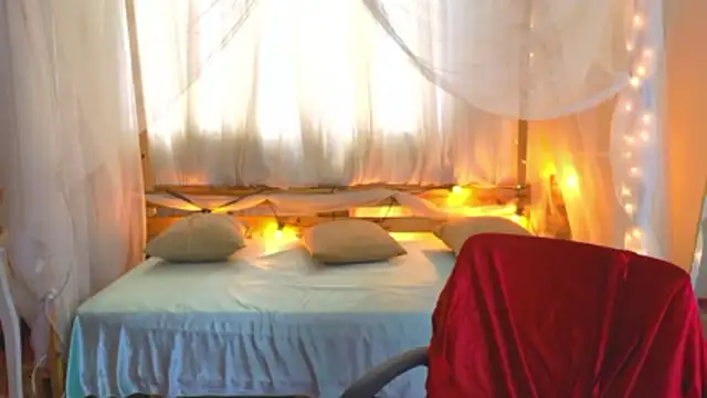 loreaniss online show from 11/16/25, 08:25