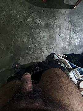 RitkKaala online show from 01/31/26, 08:51