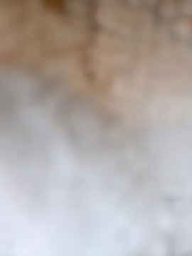 Radsjxh online show from 12/17/25, 07:42