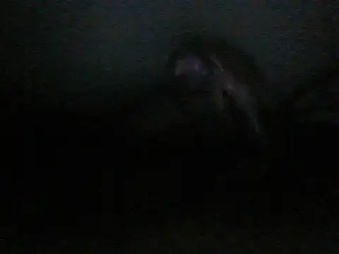 Snapshot of itachi_thebro1 chatting on 06/10/26, 04:12 itachi thebro1 online show from 06/10/26, 04:12