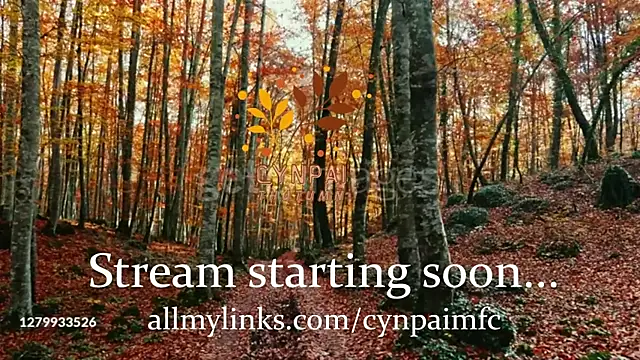 Cynpai online show from 11/17/25, 04:29