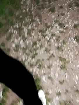 ARTANIS20 online show from 10/21/25, 08:20