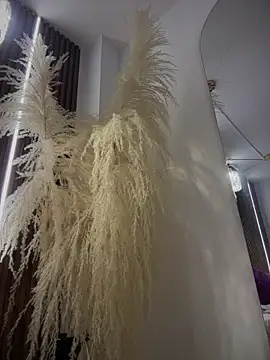 Anita-vega online show from 12/19/25, 09:11