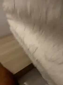 DoctorArabe3 online show from 02/12/26, 11:05