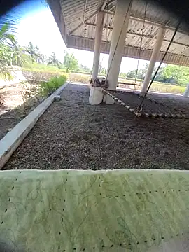 Desi Horny Boys online show from 03/24/26, 08:19