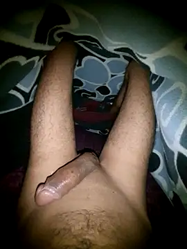 Desi Horny Boys online show from 06/05/26, 05:40
