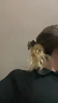 blond-96 online show from 04/03/26, 04:32