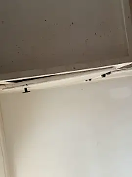 curis4270panda online show from 02/15/26, 07:54