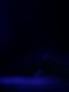 curis4270panda online show from 02/19/26, 11:39