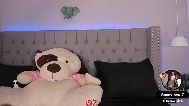 Anne cox online show from 09/16/25, 11:33