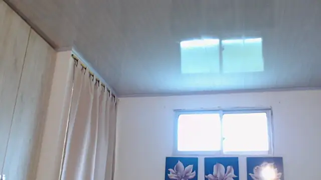 pinky f00x online show from 12/02/25, 07:31