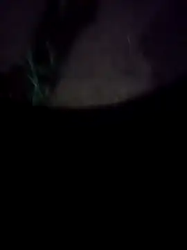 mkallu1995 online show from 02/18/26, 05:20