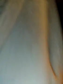 himNIGuys online show from 02/11/26, 07:08