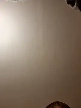 Snapshot of gazb90 chatting on 11/14/25, 11:24 gazb90 online show from 11/14/25, 11:24