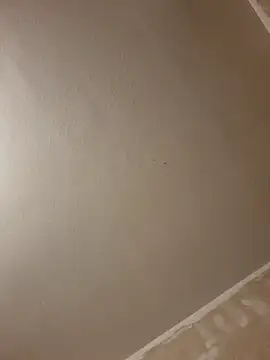 Snapshot of gazb90 chatting on 01/14/26, 08:03 gazb90 online show from 01/14/26, 08:03