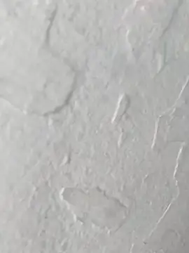 yaraa49 online show from 10/23/25, 05:07