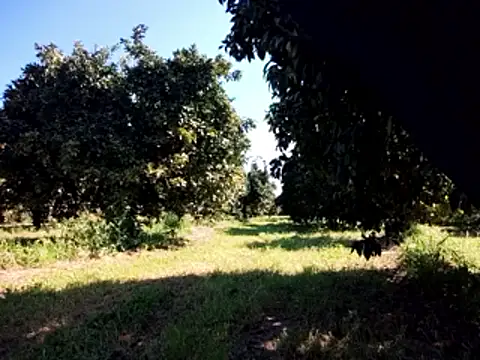 Snapshot of stefanoss321 chatting on 03/09/26, 09:24 stefanoss321 online show from 03/09/26, 09:24