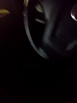 pauzudao 12 online show from 03/04/26, 10:49